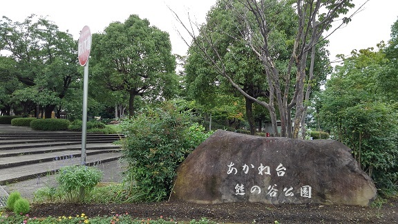 公園　公園（公園）まで550m