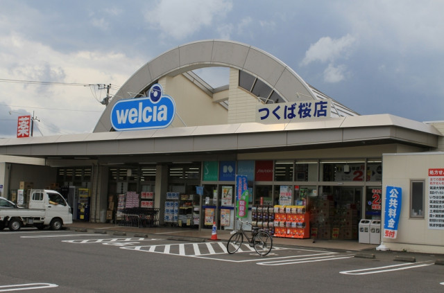 ドラックストア　ウエルシアつくば桜店（ドラッグストア）まで300m