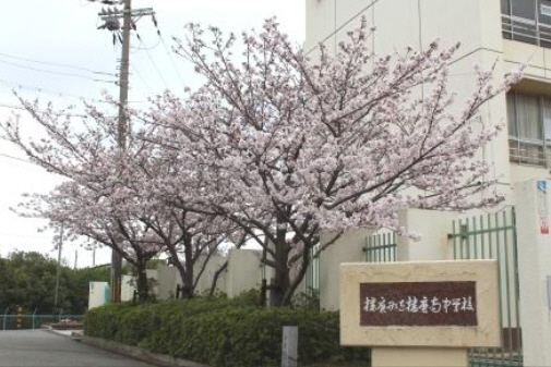 中学校　播磨南中学校（中学校）まで1200m