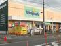 ドラックストア　ウェルパーク大和高座渋谷店（ドラッグストア）まで382m