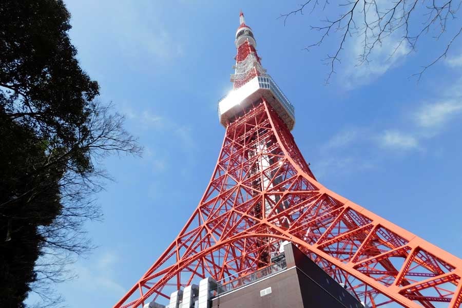 ショッピングセンター　日本電波塔ビル（ショッピングセンター）まで816m