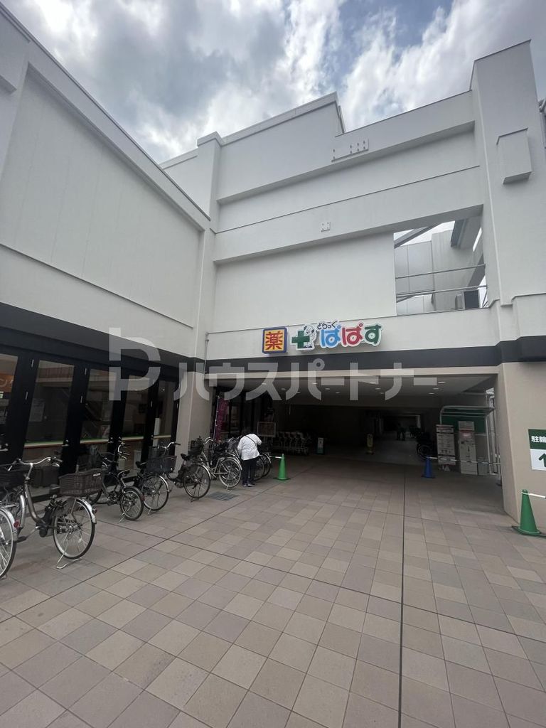 ドラックストア　どらっぐぱぱす板橋南町店（ドラッグストア）まで360m