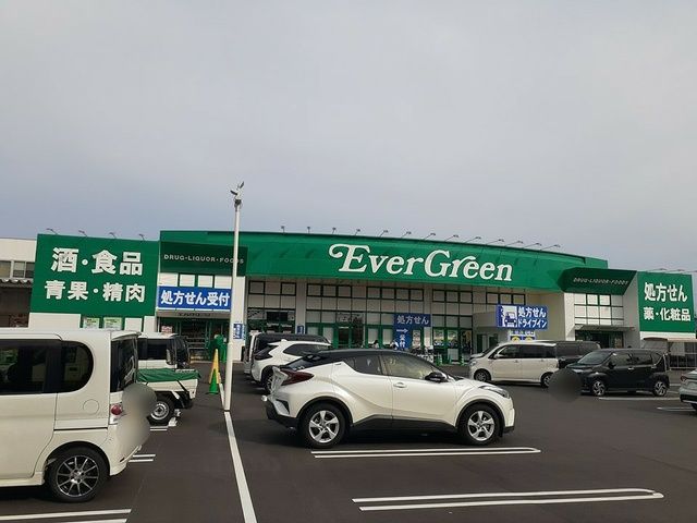 ドラックストア　エバグリーン様（ドラッグストア）まで1092m