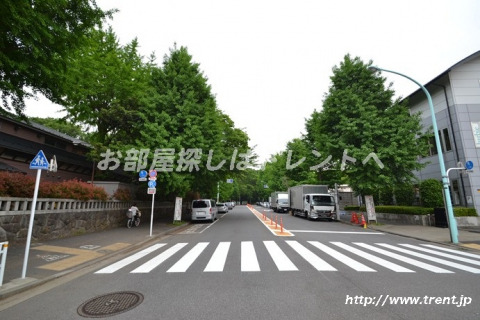 公園　代々木公園（公園）まで570m
