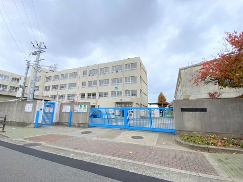 小学校　堺市立浜寺東小学校（小学校）まで635m