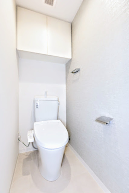 アヴォルトフェリーチェ蒲田サウスのトイレ写真
