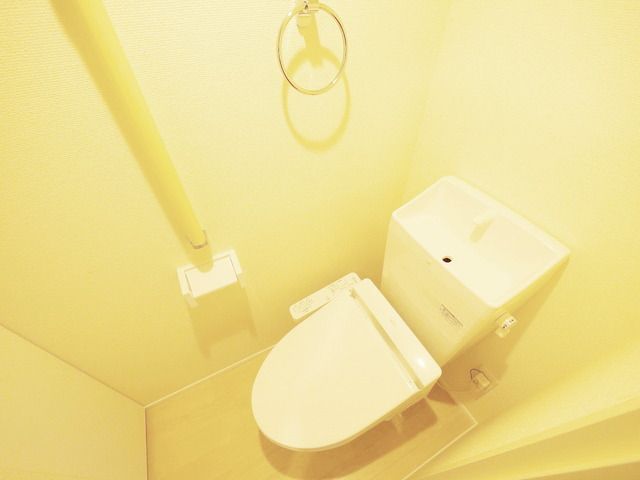 東武伊勢崎線 谷塚駅 徒歩21分 2階建 築13年のトイレ写真