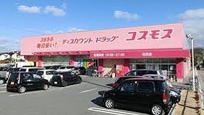 その他　コスモス 白浜店  700m