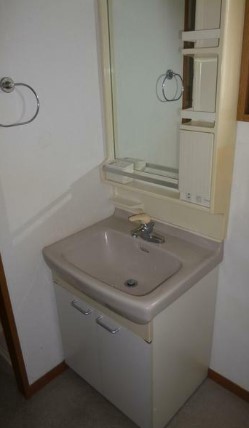 洗面設備　別号室の参考写真です