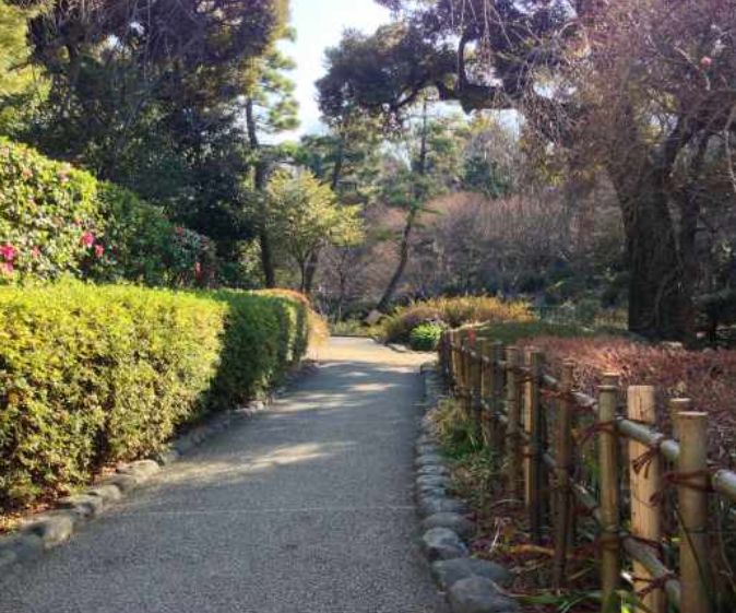 【エル・セレーノ西早稲田の公園】