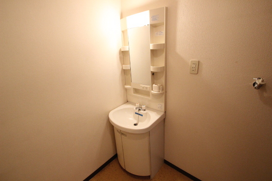 洗面設備　写真は別号室のものです。