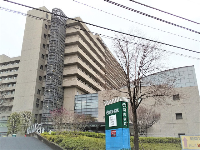 病院　ＮＴＴ東日本関東病院（病院）まで240m