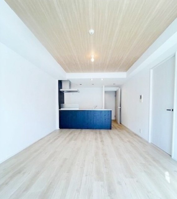 居室・リビング　※別部屋同仕様