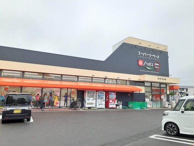 スーパー　スーパーマーケット ハリガエ（スーパー）まで400m