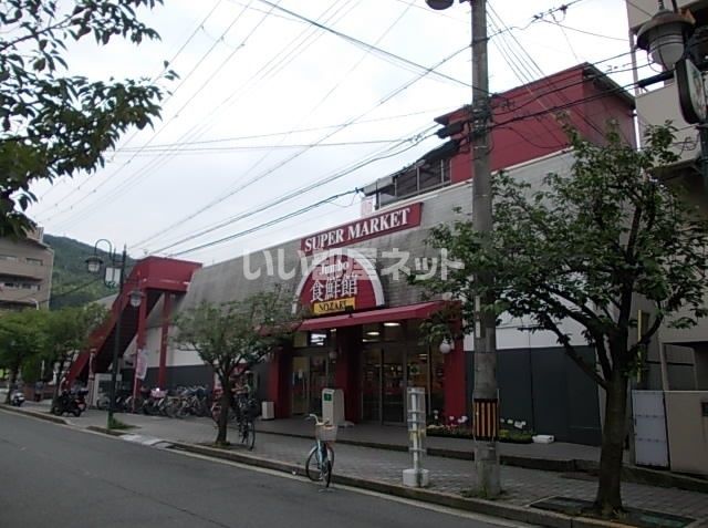 スーパー　じゃんぼ食鮮館野崎（スーパー）まで183m