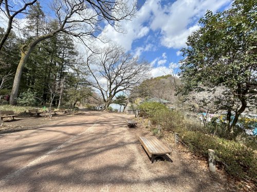 公園　都立善福寺公園（公園）まで753m