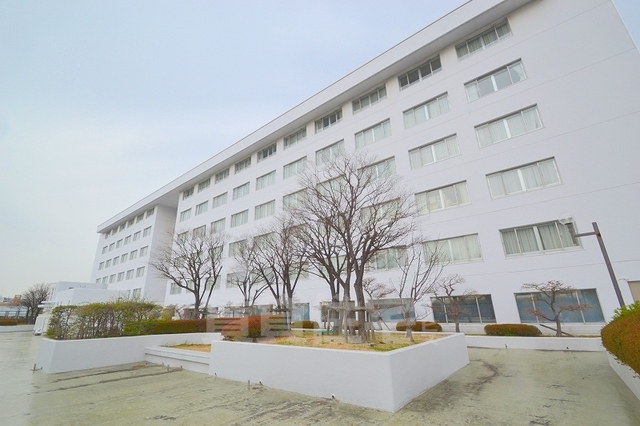 その他　外観
