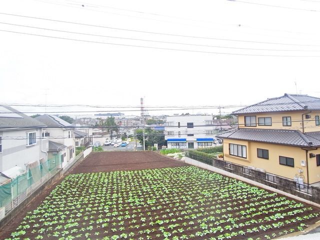 眺望　景色
