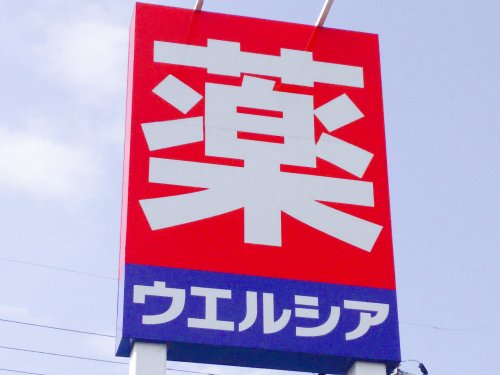 ドラックストア　ウエルシア高石東羽衣店（ドラッグストア）まで268m