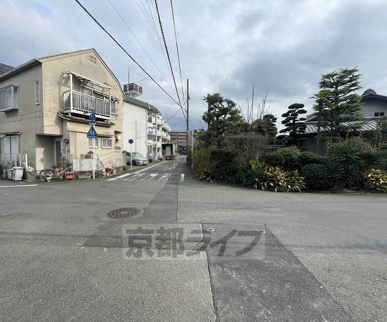 庭