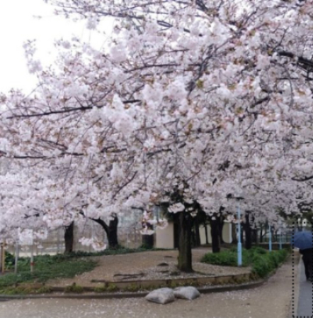 公園　今津公園（公園）まで296m