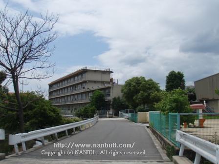 小学校　福山市立西深津小学校（小学校）まで343m
