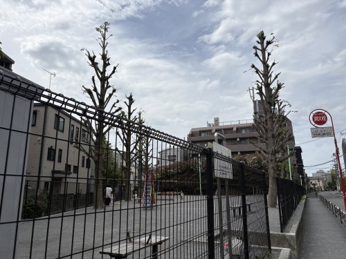 公園　溝口公園（公園）まで270m