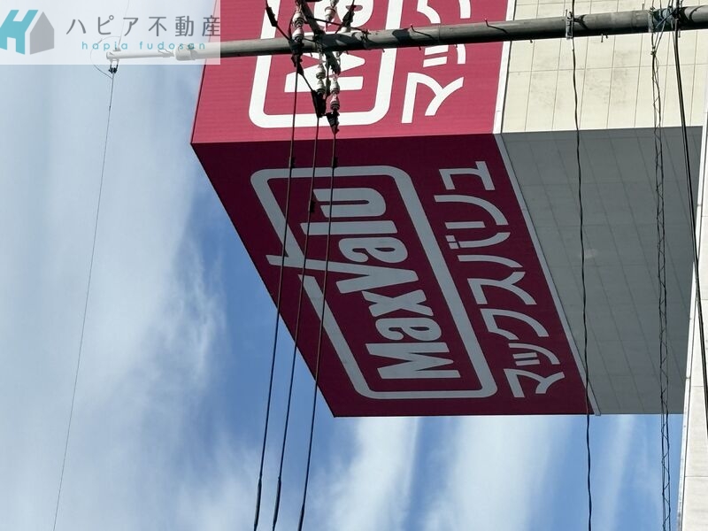 光2011の周辺写真