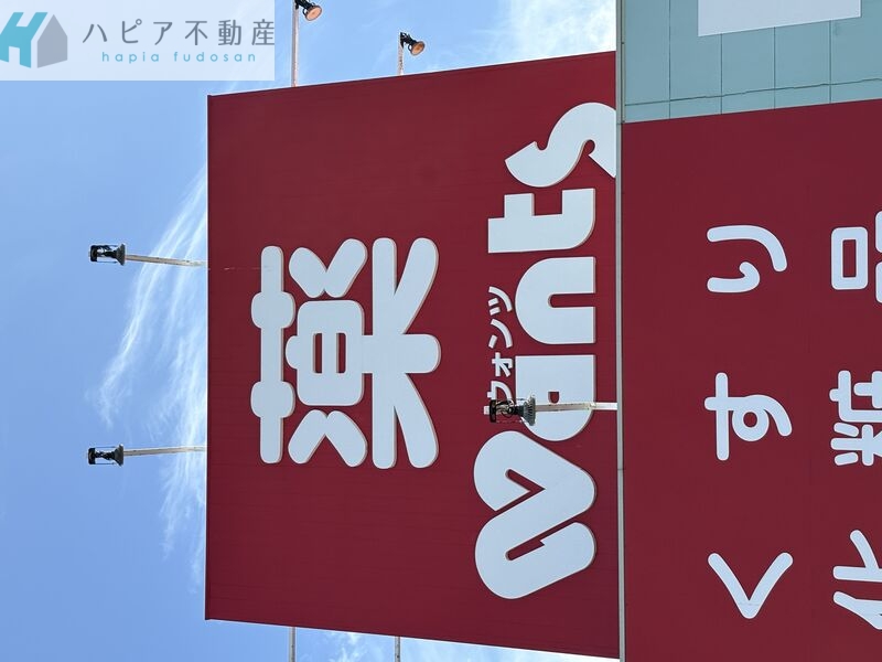 光2011の周辺写真