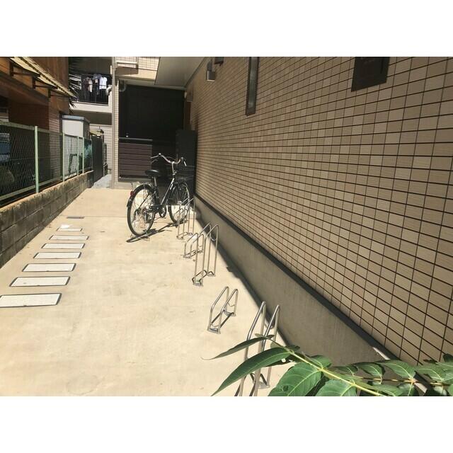 庭