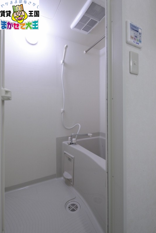 GreenValley KANAYA~グリーンバレー金屋~の風呂写真