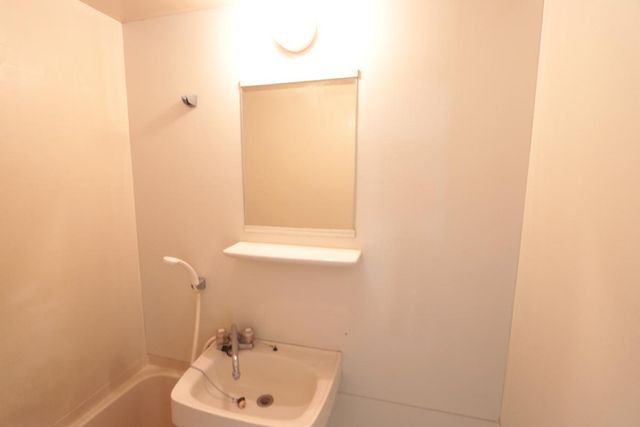 洗面設備　別部屋のお写真になります。
