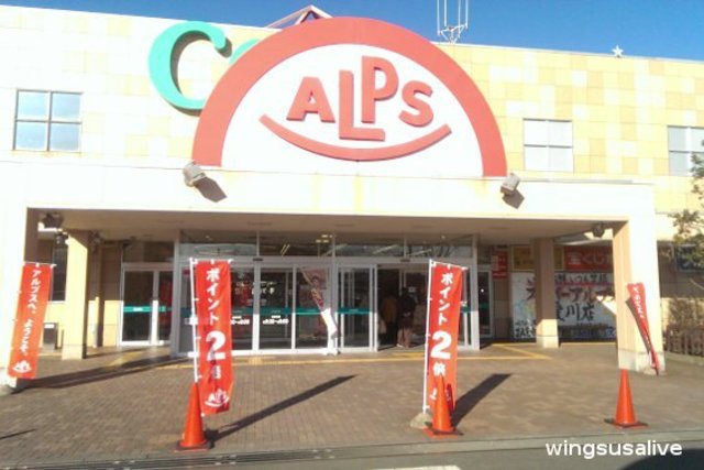 スーパー　スーパーアルプス伊勢原下落合店（スーパー）まで835m