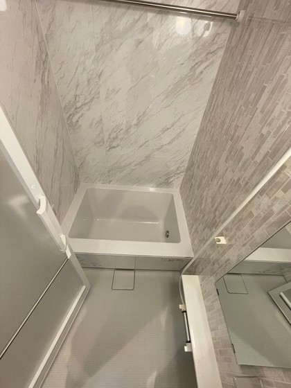 バス・シャワールーム　※別部屋の写真です