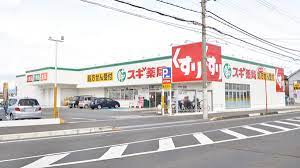 ドラックストア　スギ薬局守山東店（ドラッグストア）まで801m