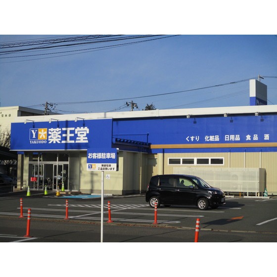 ドラックストア　薬王堂盛岡中野店（ドラッグストア）まで175m