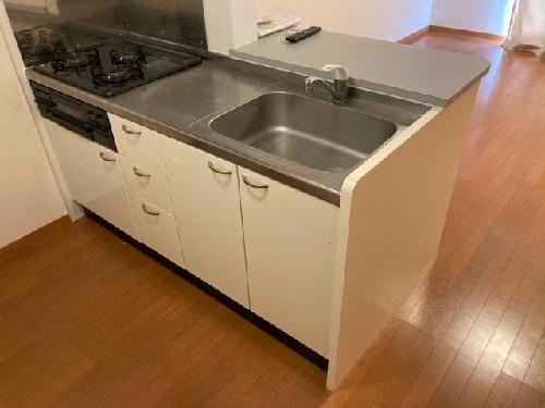 キッチン　居室部分は絨毯