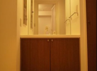 洗面設備　別タイプ部屋　参考写真です