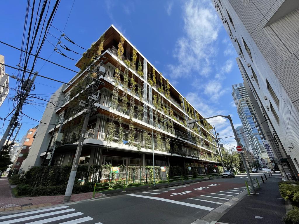 小学校　中央区立中央小学校（小学校）まで166m