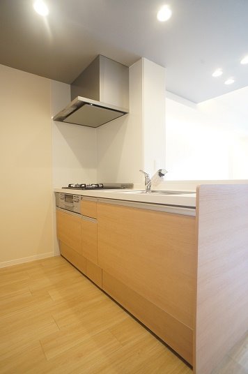 キッチン　人気の対面型システムキッチン♪同タイプ別部屋の写真です。