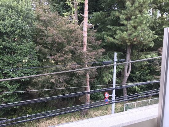 眺望　☆眺望☆