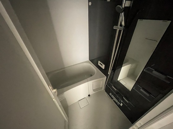 バス・シャワールーム　※別部屋の写真です