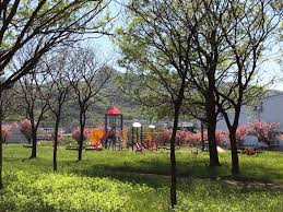 公園　銭函中央公園（公園）まで1972m