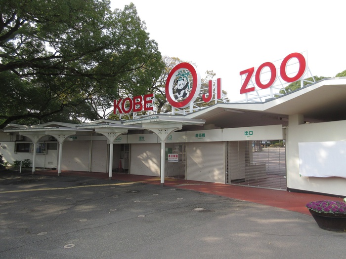 その他　王子動物園（その他）まで800m