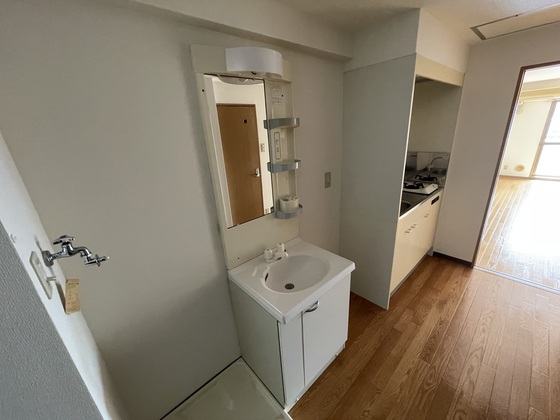 洗面設備　※別部屋の写真です