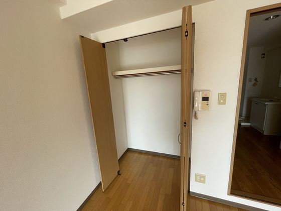 収納　※別部屋の写真です