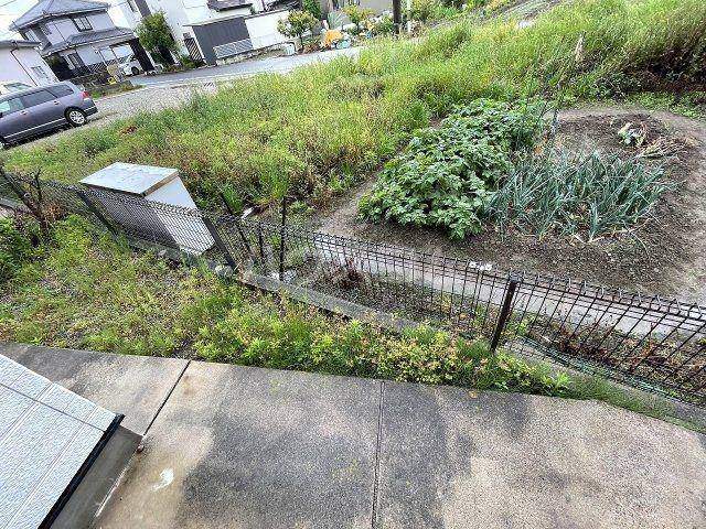 庭
