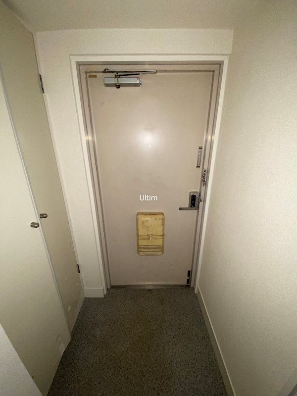 玄関　※別部屋の写真です。