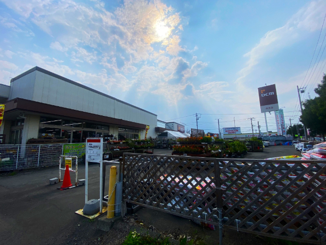 ホームセンター　ＤＣＭ住吉店（ホームセンター）まで687m