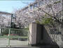 中学校　第十六中学校（中学校）まで293m